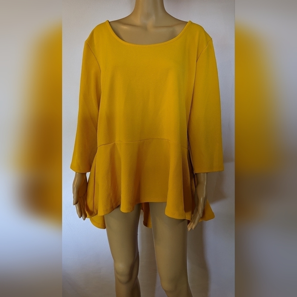 Pre-owned Lexington Avenue long sleeve shirt size 3X, TG